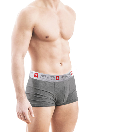 AVEVITTA ANTI-MOISTURE ANTI-BACTERIAL MEN’S UNDERWEAR- GREY COLOR