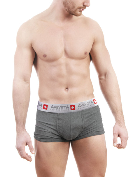 AVEVITTA ANTI-MOISTURE ANTI-BACTERIAL MEN’S UNDERWEAR- GREY COLOR